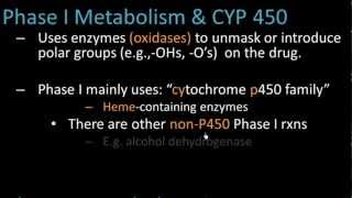 Phase I Metabolism  Pharmacology Lect 7 [upl. by Ayoral]