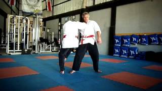 Danzan Ryu Jujitsu  Shinnin Techniques [upl. by Goff]