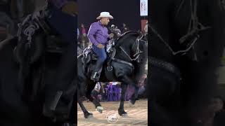 CABALLO BAILADOR R15 [upl. by Philander]