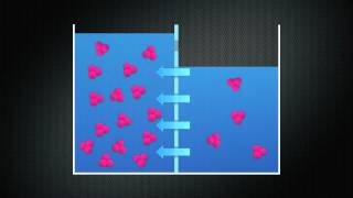 Diffusion Osmosis and Tonicity [upl. by Caty]