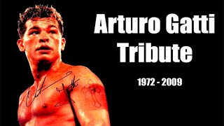 Arturo Gatti Highlights amp Knockouts  The Thunder Tribute [upl. by Hiasi]