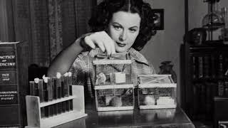 Hedy Lamarr and the Invention of Spread Spectrum Technology Breaking Barriers in History [upl. by Woo743]