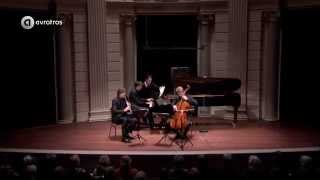 Beethoven Klarinettrio op 11 Gassenhauer Live concert HD [upl. by Proudman987]