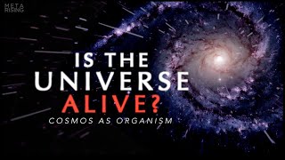 The Living Universe  Documentary about Consciousness and Reality  Waking Cosmos [upl. by Hadeehuat]