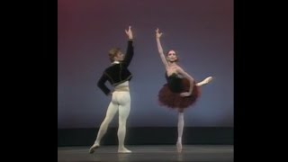 Mikhail Baryshnikov and Gelsey Kirkland  Don Quixote PDD 1976 [upl. by Eadrahs]