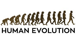 Human Evolution Animation [upl. by Emalia]