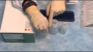 Isolate RNA with the PureLink™ RNA Mini Kit qPCR step 2 [upl. by Elehcor]