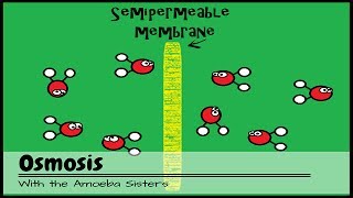 OLD VIDEO Osmosis [upl. by Alleacim]