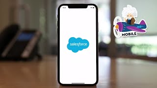 Salesforce Mobile App Demo [upl. by Denn]