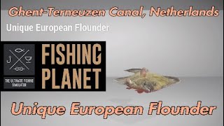 Unique European Flounder  GhentTerneuzen Canal Netherlands  Fishing Planet Guide [upl. by Pineda]