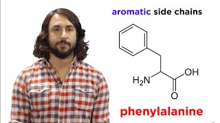 Amino Acids [upl. by Riva]