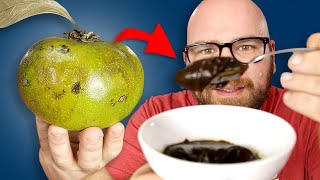 Black Sapote  The Fruit that TASTES LIKE CHOCOLATE PUDDING Does IT [upl. by Tehc266]