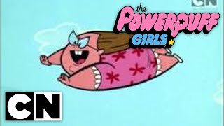 The Powerpuff Girls Classic  Mojo Jonesin Full Episode [upl. by Poler774]