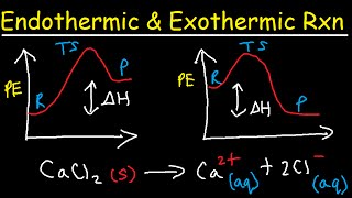 Endothermic and Exothermic Reactions [upl. by Mccartan]