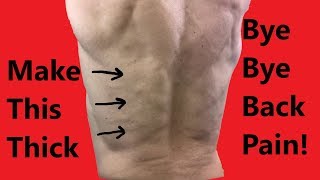 Erector Spinae Exercises The Ultimate Guide to a Stronger Back [upl. by Chace]