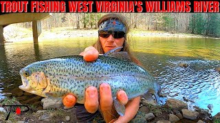 Trout Fishing West Virginias Williams River [upl. by Hermy]