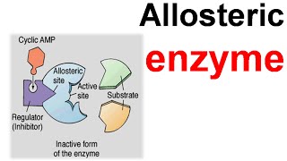 Allosteric enzyme [upl. by Orfinger381]