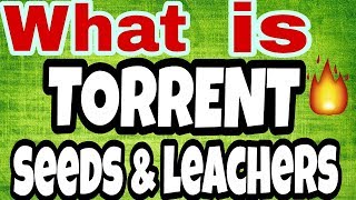 what is SEEDS and LEECHERS  How TORRENT WORKS [upl. by Eerpud937]