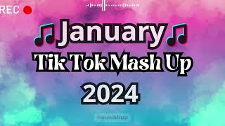 TikTok Mashup 2024 🎵 [upl. by Ivanah861]