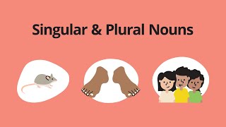 Singular amp Plural Nouns – English Grammar Lessons [upl. by Aekahs]