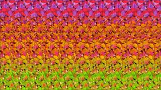 Animated Stereogram Guess whats in the hidden 3D [upl. by Abernon]