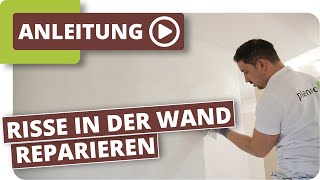 Risse in der Wand reparieren [upl. by Spaulding]