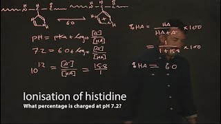 Ionisation of histidine [upl. by Doowyah273]