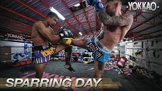 Muay Thai Sparring  Liam Harrison Vs Superlek  YOKKAO Training Center [upl. by Leuas]