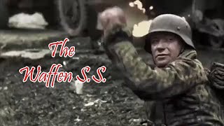 The Waffen SS Intense Combat Footage [upl. by Nnor479]