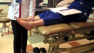 MMT Ankle Plantar Flexion amp Dorsiflexion [upl. by Shargel]