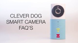 Clever Dog FAQs [upl. by Elleahcim998]