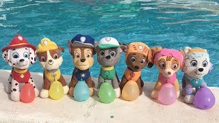 Aprende los colores con juguetes Paw patrol y Chase en la piscina Videos educativos para niños [upl. by Pillow]