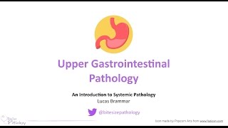 Upper Gastrointestinal GI Pathology  Introduction to Systemic Pathology [upl. by Eelsha976]