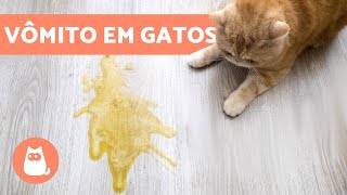 GATO VOMITANDO 8 causas comuns e como lidar [upl. by Edobalo]