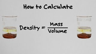 How To Calculate Density  With Examples [upl. by Enaillil]