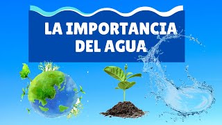 La importancia del agua [upl. by Gnirol]