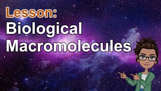 PHYSICAL SCIENCE  BIological Macromolecules [upl. by Helen]