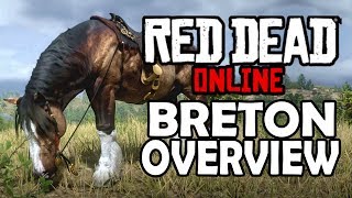 Breton Overview  Red Dead Online Horses  Red Dead Redemption 2 [upl. by Zurciram]