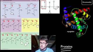 Biological Molecules [upl. by Enuj]