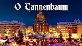 O Tannenbaum 🎄 German Christmas songEnglish translation [upl. by Macintyre]