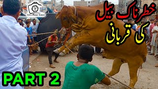 Bakri Aur Bhediya बकरी और भेड़िया Goat amp Wolf Hindi Moral Value Story for kids Rachna Sagar [upl. by Ttereve]