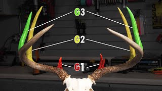 How To Score A Deer [upl. by Bertie294]