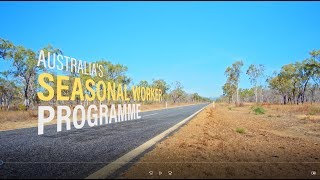 Australias Seasonal Worker Programme [upl. by Donia]