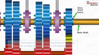 How Car Transmission System Works [upl. by Raffo553]