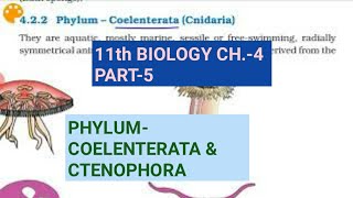 Class 11 BiologyCh4 Part5Phylum Coelenterata amp CtenophoraStudy with Farru [upl. by Laris]