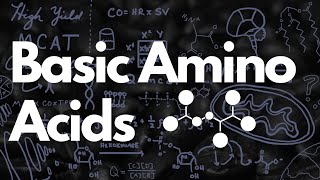 Basic Amino Acids MCAT  Histidine Tautomerization  MCAT [upl. by Erdman]