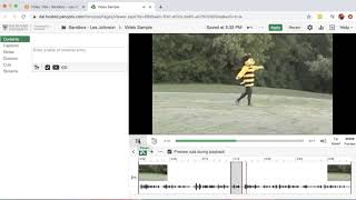 How to Edit Panopto Videos [upl. by Kiraa877]