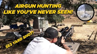 Airgun Hunting Like Youve Never Seen [upl. by Hays]