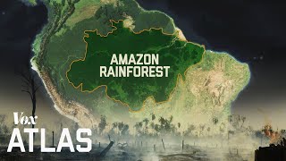 The destruction of the Amazon explained [upl. by Hsetih]