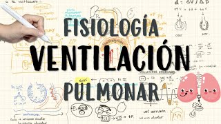 FISIOLOGÍA RESPIRATORIA PARA DUMMIES Ventilación Pulmonar [upl. by Marlow]